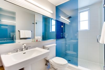 Bathroom in ADA Standard King Room at South Beach Hotel
