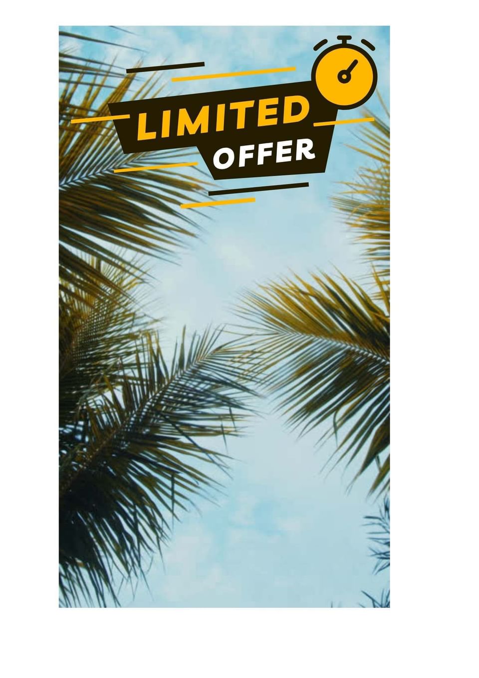 LIMITED OFFER poster with a background of palm tree leaves against the sky used by Budget Hotel Darwin Poinciana Inn