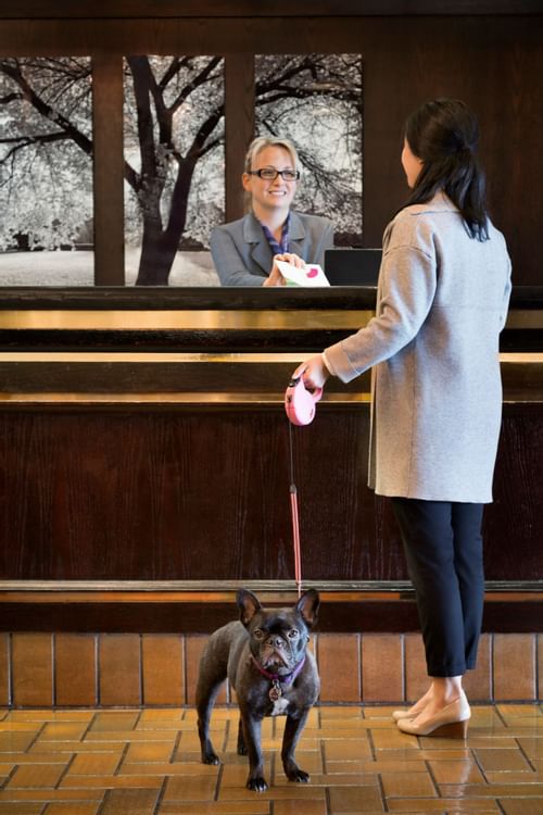 Woman checking in at hotel with dog