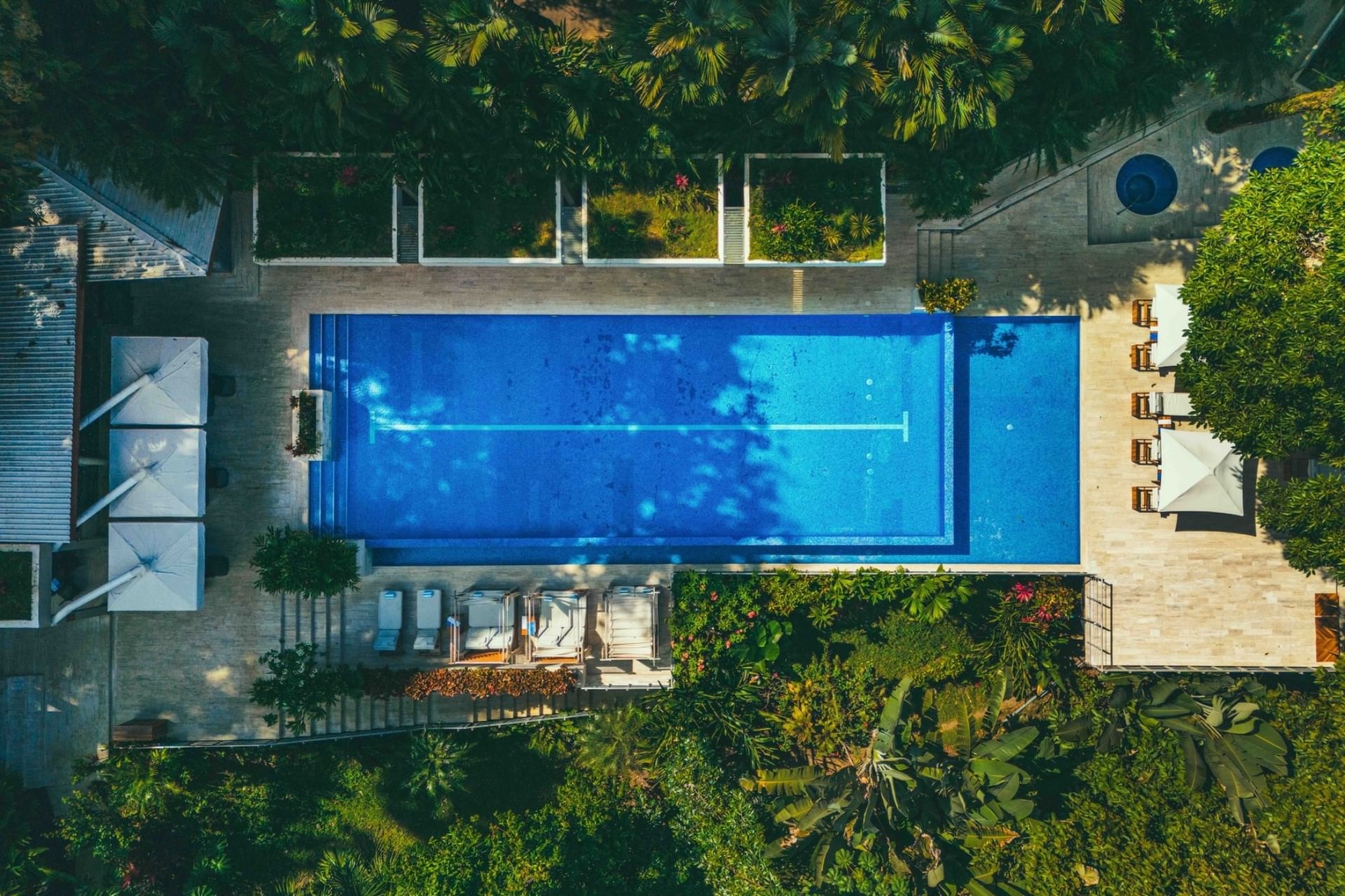 Aerial view of a rectangular swimming pool surrounded by lush tropical gardens and modern architecture at Los Altos Resort