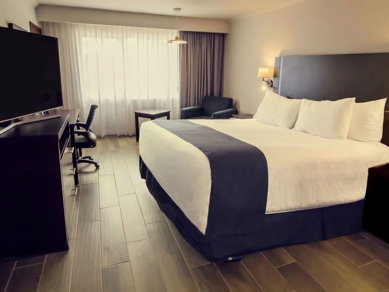 Accessible Room with bed & TV station at Gamma Hotels