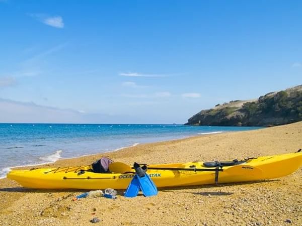 A kayak and paddle on a sandy beach near Catalina Island Company