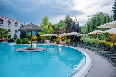 Curved pool lined with lounge chairs along the edge, with a bar set beneath a grass umbrella at Hilltop Inn, Salmon Arm