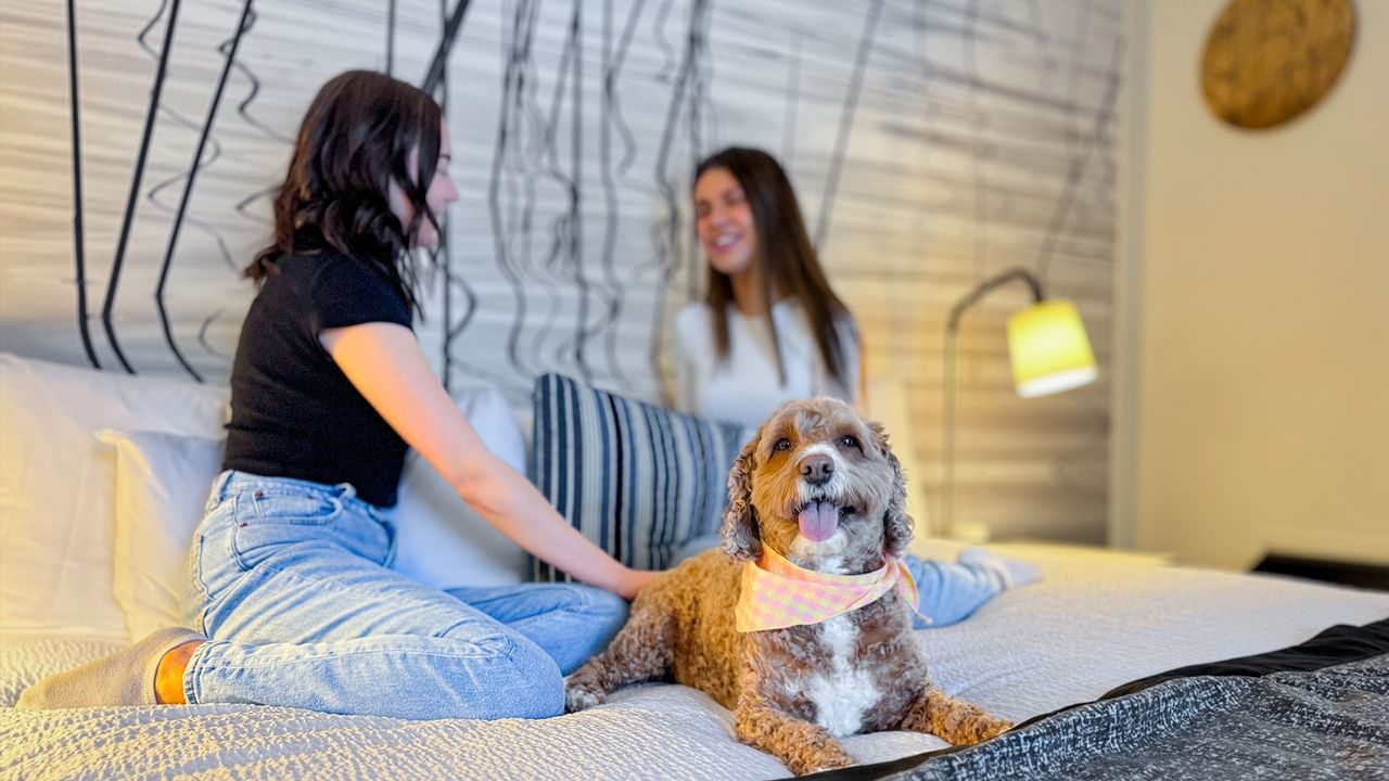 Two women sit on a bed with a dog, one pets the dog, and a lamp is nearby.