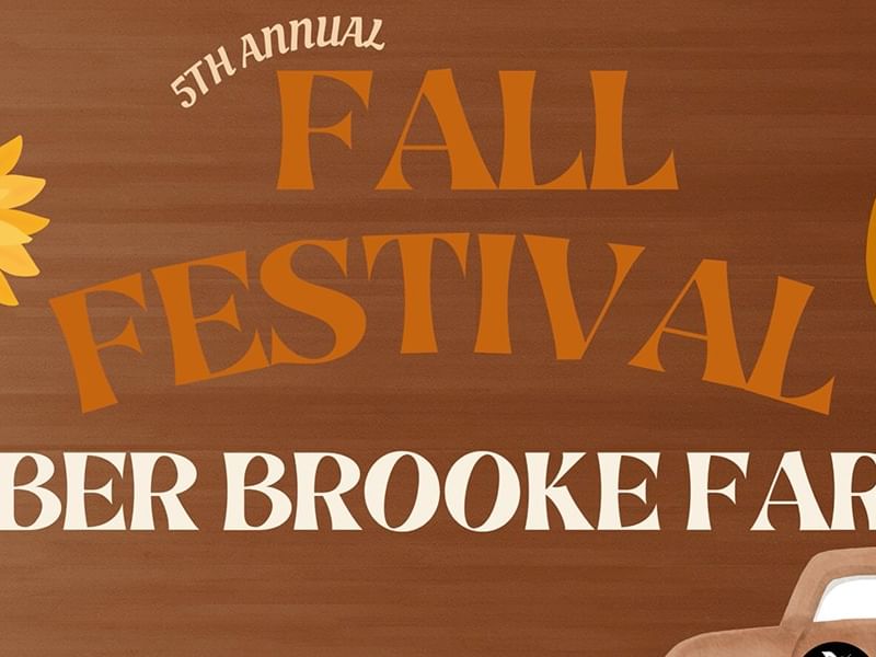 Fall Festival at the Amber Brooke Farms