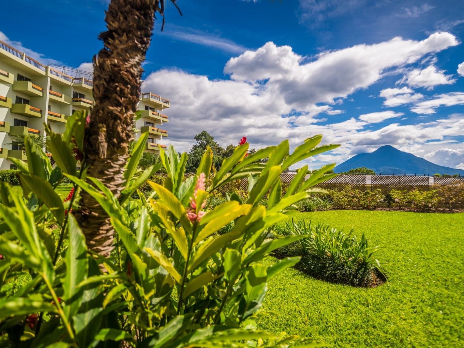 Flowers & plants by the lush greenery in the hotel garden with a mountain backdrop at Porta Hotel del Lago