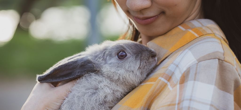 women in yellow plaid shirt holding a rabbit 