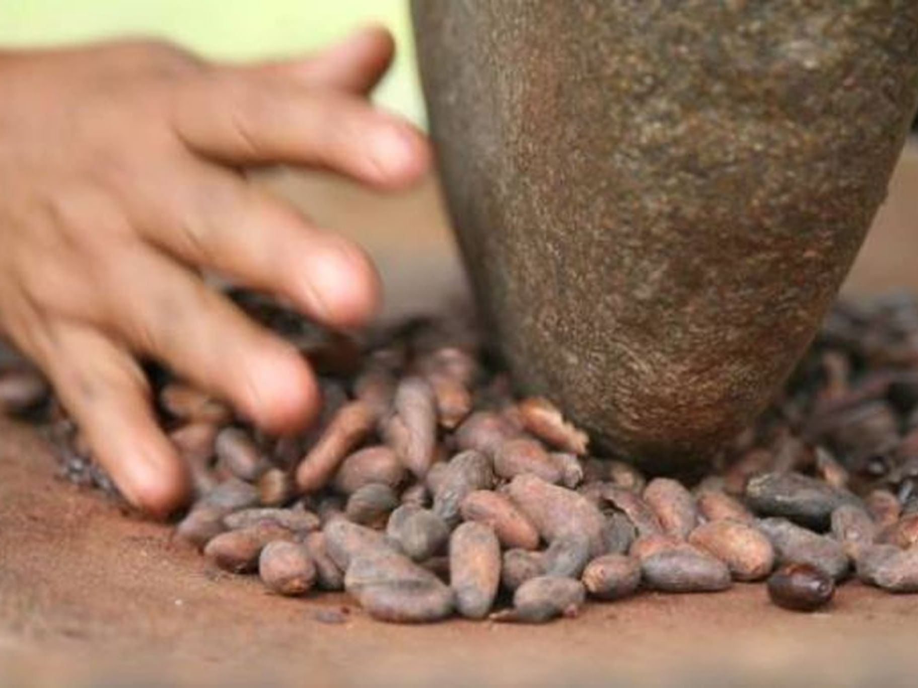 Close up of hand griding cacao beans at El Silencio Lodge and Spa