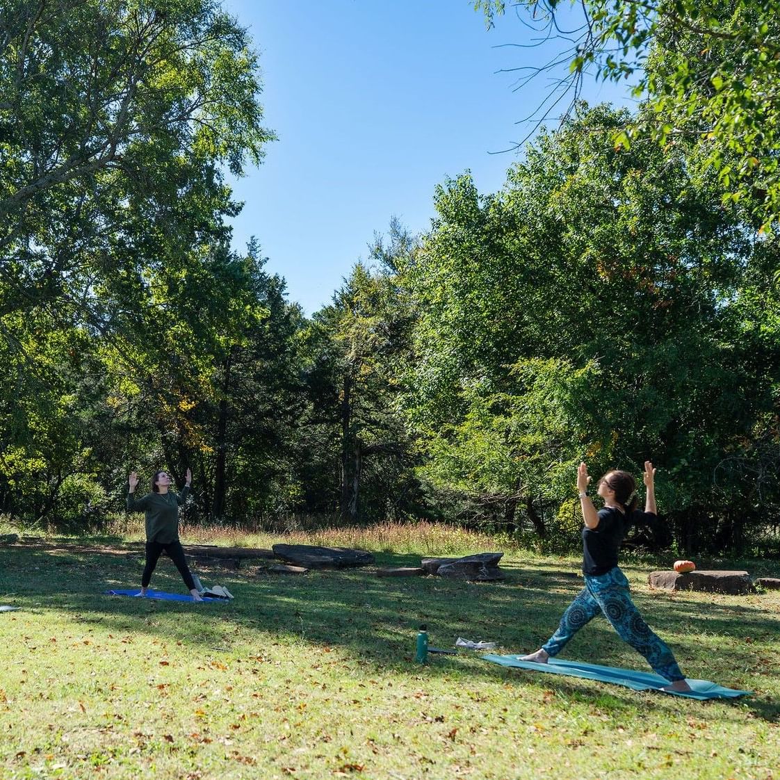 People practicing Solstice Flow with DTFC yoga outdoors in a grassy area with trees.