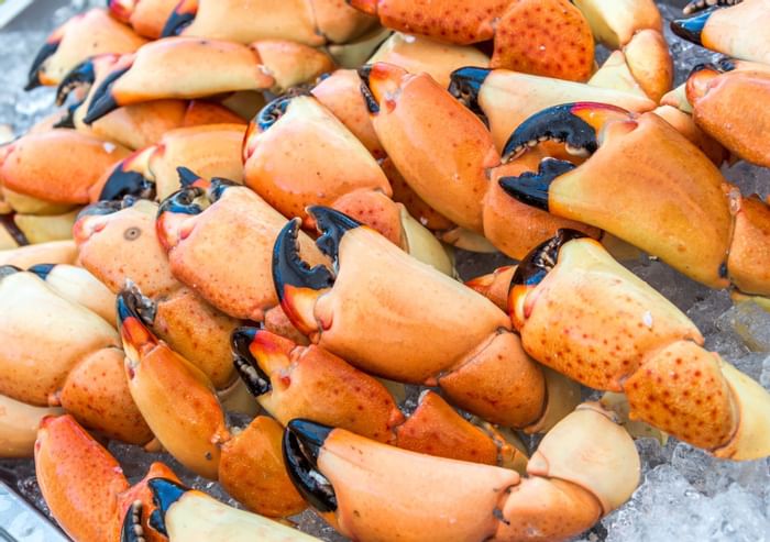 Close-up on some sea foods at Sunseeker Resort