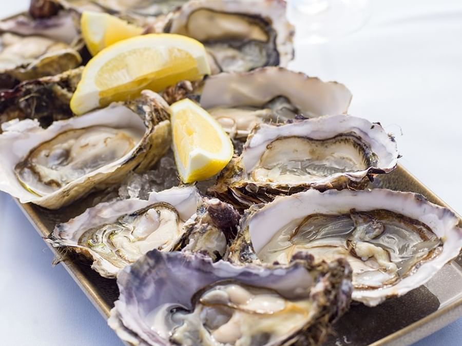 Freycinet Oysters 