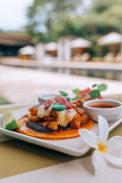 Gourmet dish on a white plate with sauces on a table in a restaurant at El Mangroove Hotel
