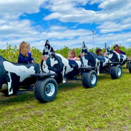 Children ride in a cow-themed cart train at Amber Brooke Farms near Lake Buena Vista Resort Village & Spa