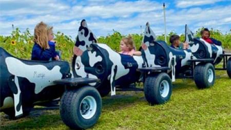 Children ride in a cow-themed cart train at Amber Brooke Farms near Lake Buena Vista Resort Village & Spa