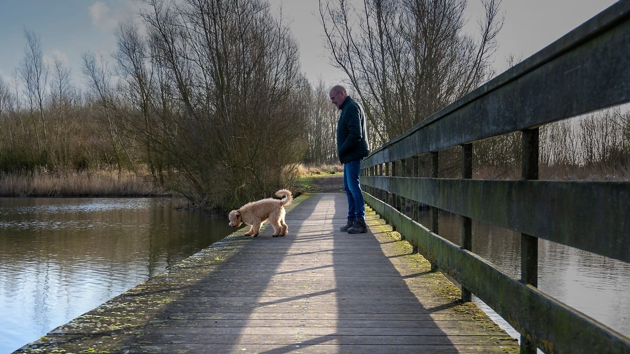 Someone walking across a wooden bridge with dog