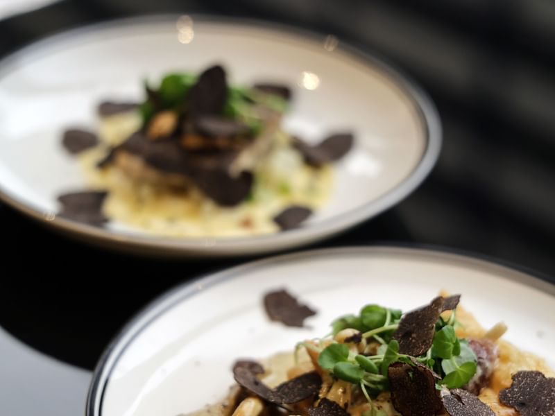 Two elegant plates of gourmet pasta topped with black truffle shavings, mushrooms, and fresh herbs for The Truffle Édition