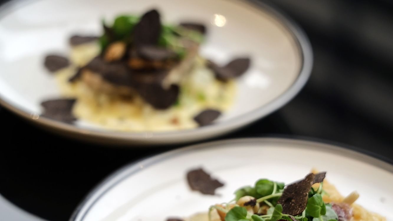 Two elegant plates of gourmet pasta topped with black truffle shavings, mushrooms, and fresh herbs for The Truffle Édition