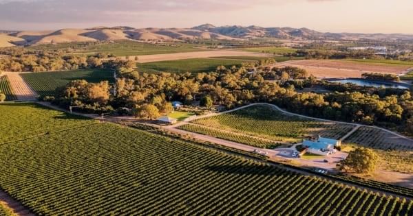 Vineyard and winery in the Barossa Valley