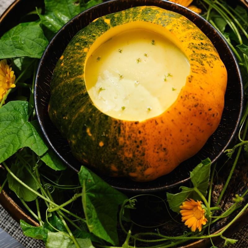 squash soup