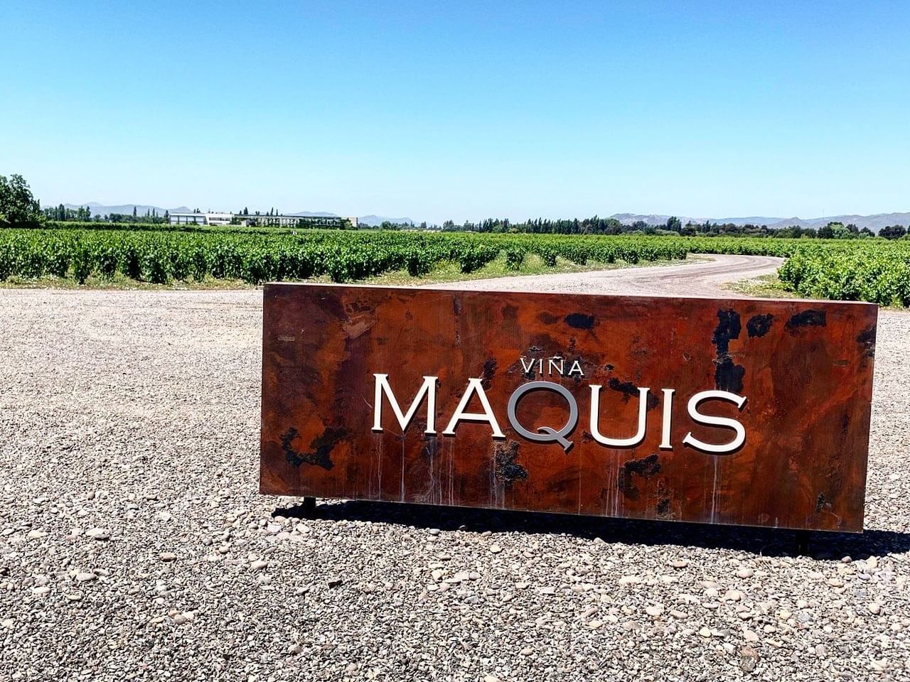 Mass field view of Maquis Vineyard at NOI Blend Colchagua
