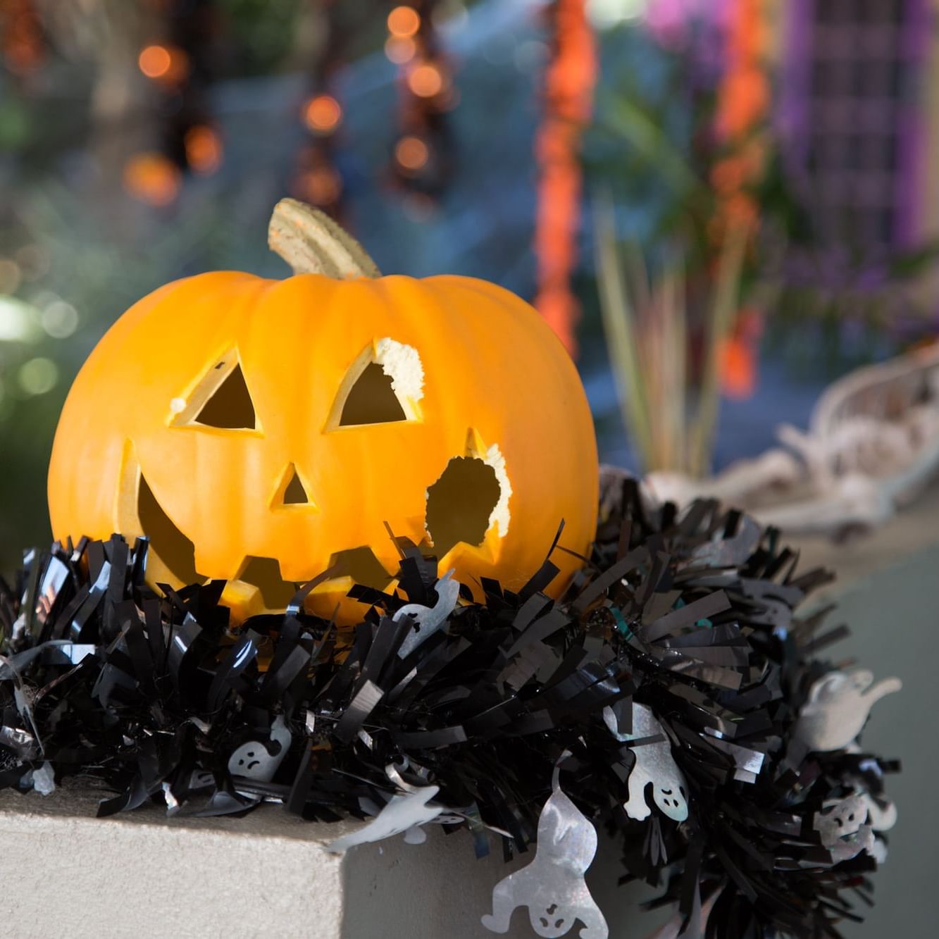 Close-up of a Halloween pumpkin carving at True Blue Bay Resort