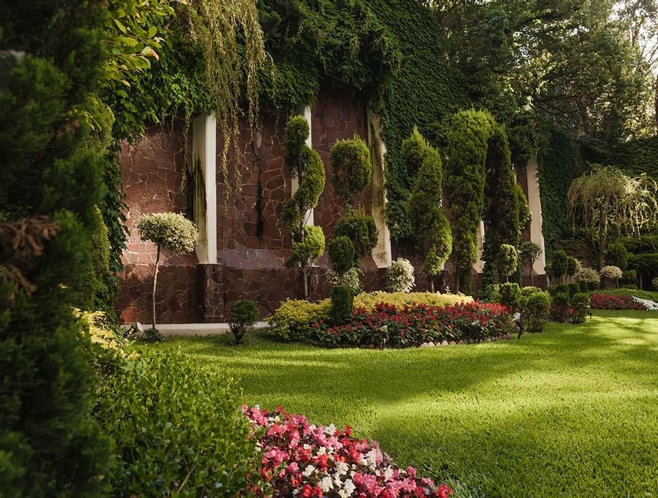 Garden area with plants at Hotel Emperador Buenos Aires