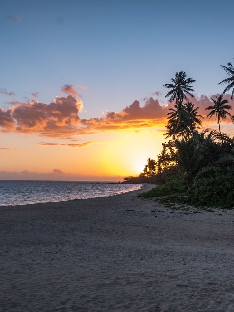 Palm trees by a sandy beach under a vibrant orange sunset sky near Warwick Hotels & Resort