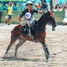 Polo player on horse