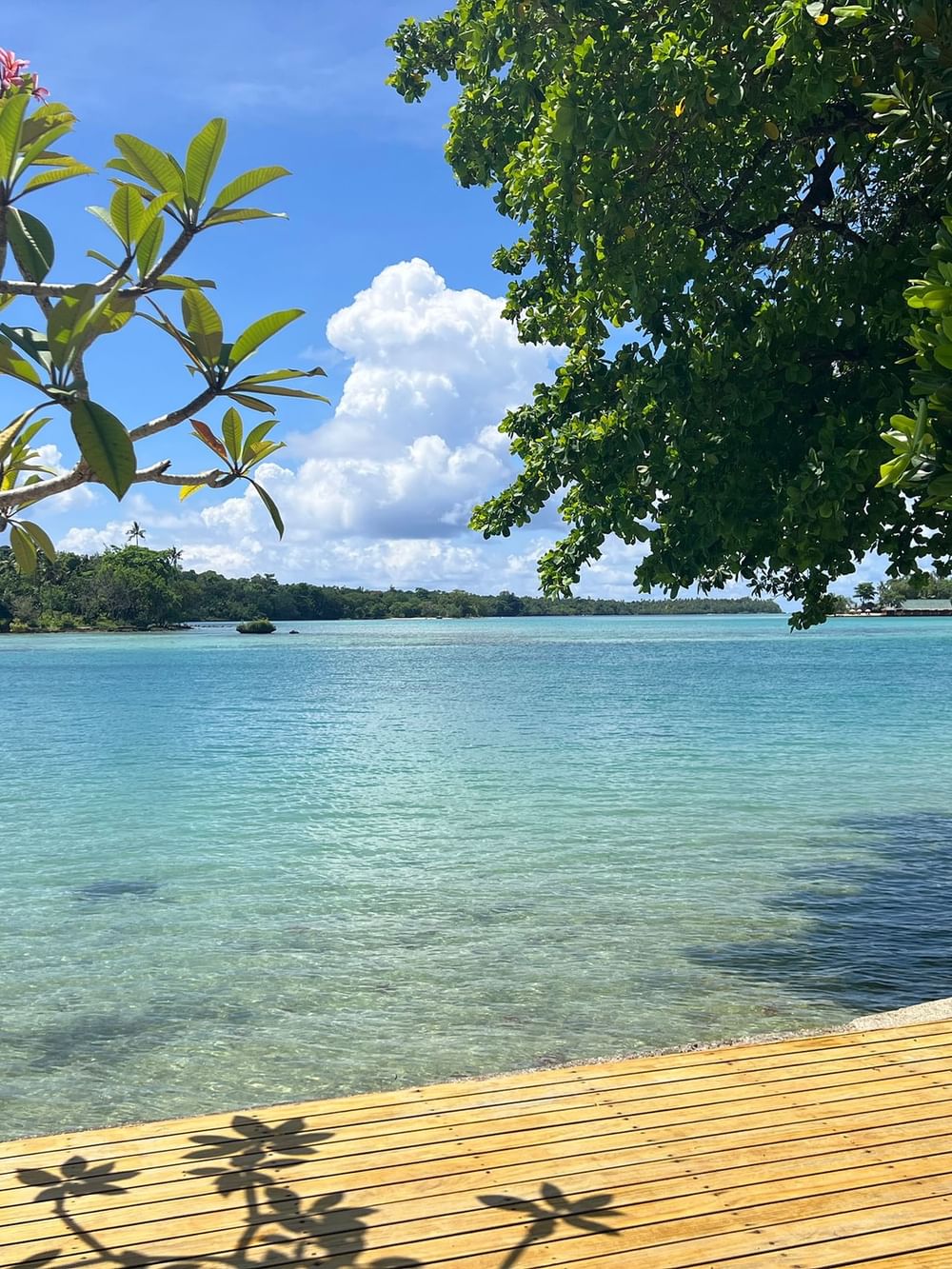 Wooden deck with ocean view and tropical trees at Shefa Pool Villa in Efate at Warwick Le Lagon - Vanuatu.