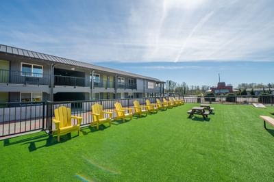 Row of yellow Adirondack chairs on a sunny artificial turf in Centralia Hotel's lawn at The Varsity South
