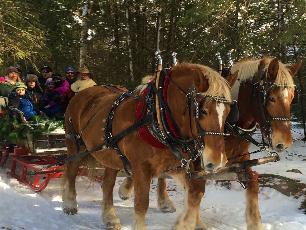 Group on a Sleigh ride at Country Dreams farm near Peaks Resort