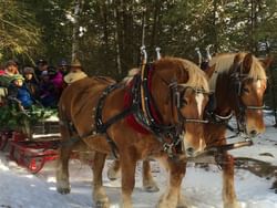 Group on a Sleigh ride, Country Dreams farm near High Peaks Resort