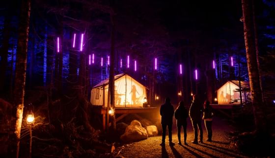 People enjoying a light show night walk in the forest near Blackcomb Springs Suites