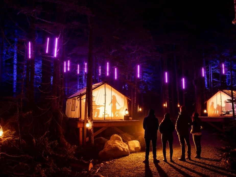 Camping tents lit up at night