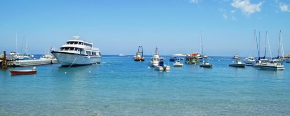 View of docked boats on a sunny day near Catalina Island Company