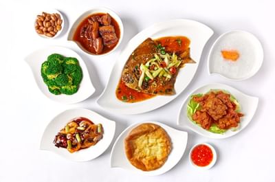 Top shot of a meal with various dishes served at Goodwood Hotel