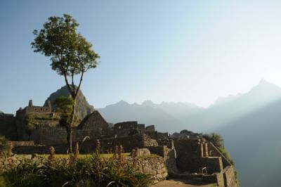 Machu Picchu stone walls and buildings