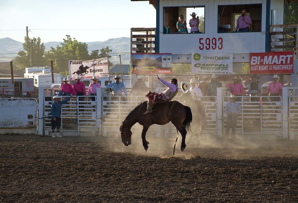 rider at the williams lake stampede