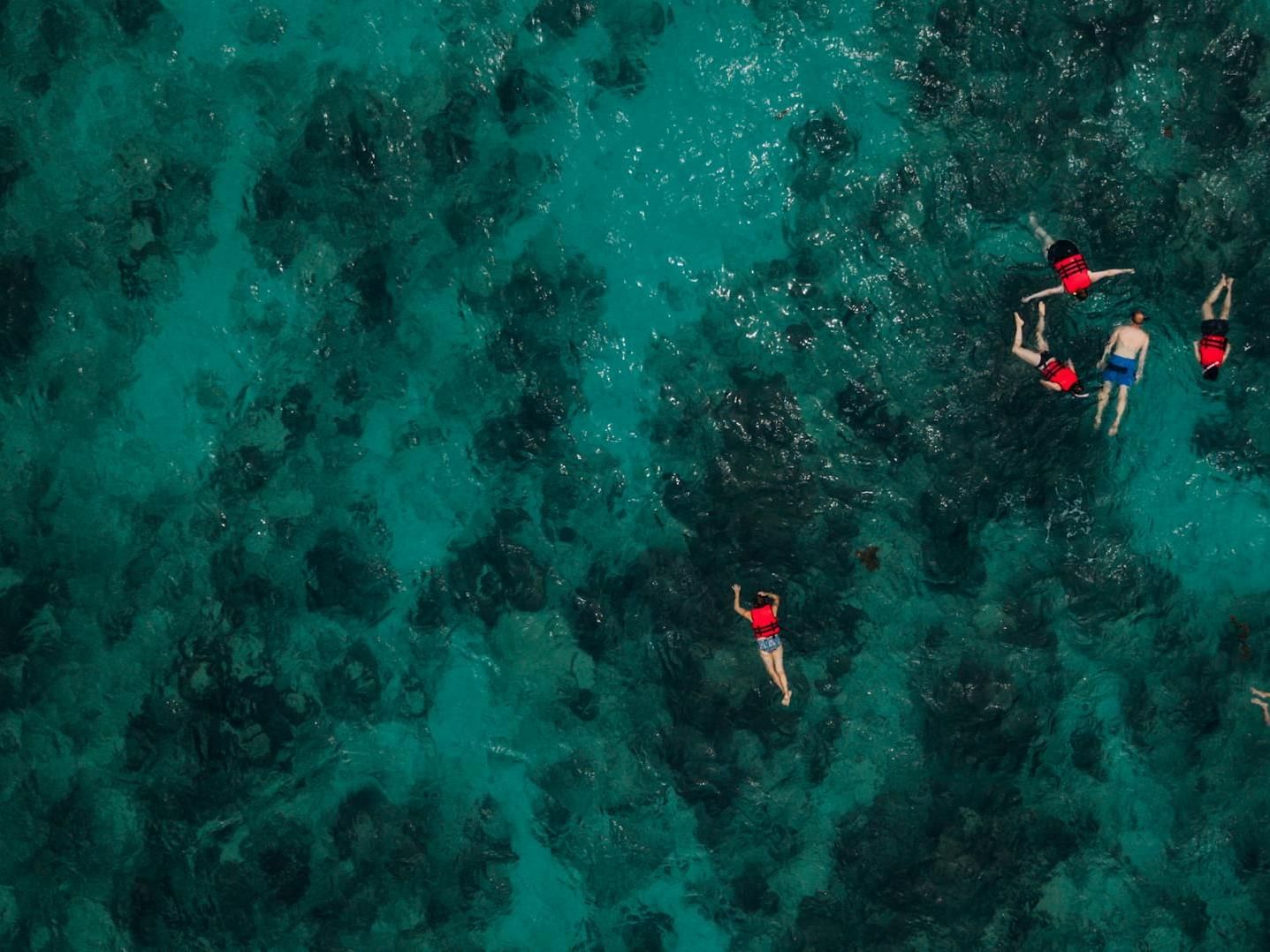 Aerial view of people swimming with floats in the ocean near Ananea Madivaru Maldives