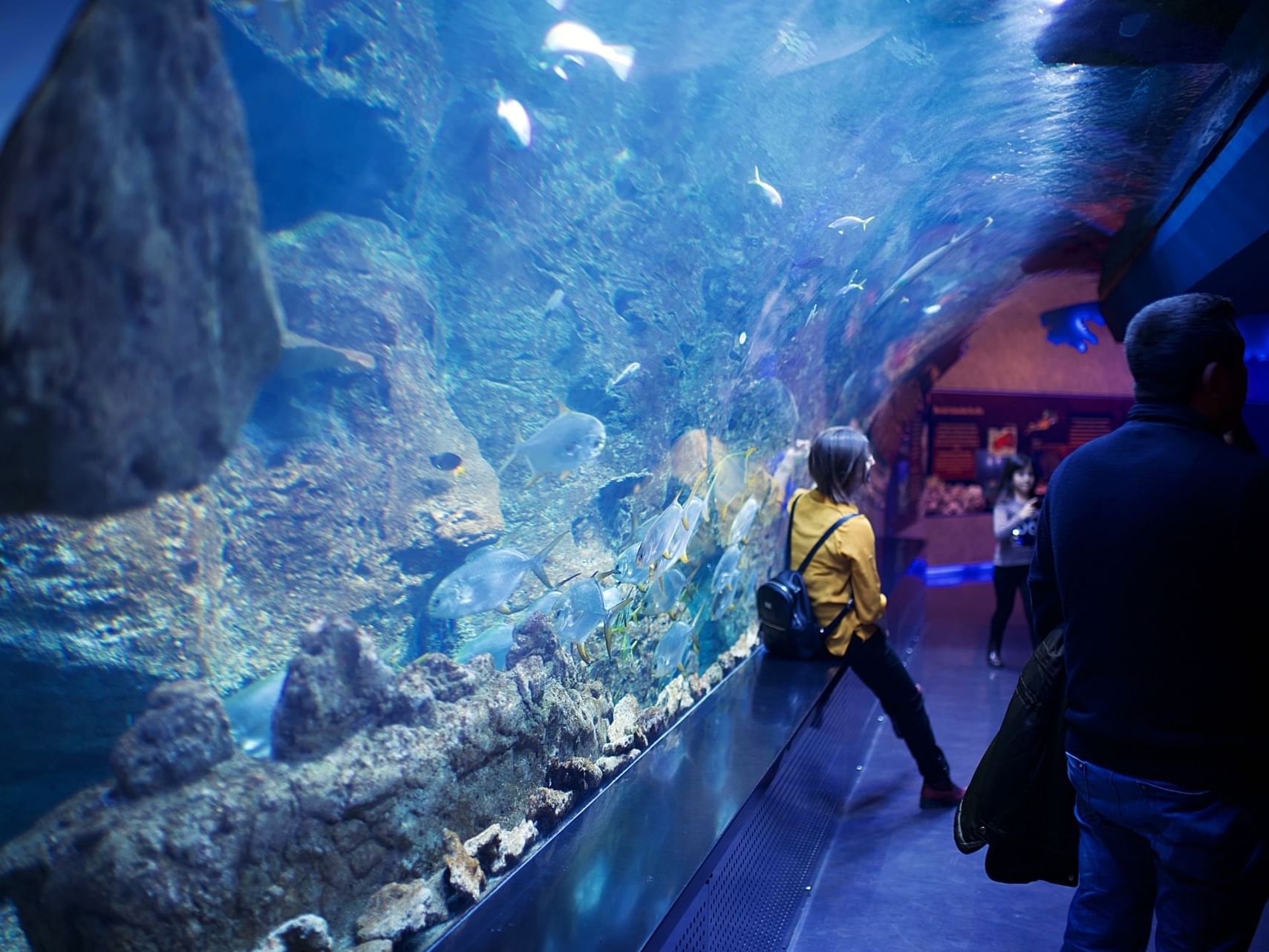 Interior of the Shedd Aquarium near Hotel Saint Clair