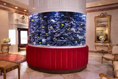 Large cylindrical aquarium with colorful fish and a red base in a lavishly decorated lobby of The Kimberly Hotel
