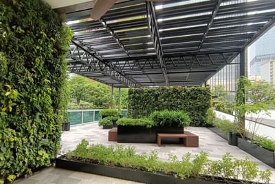 Herb Garden