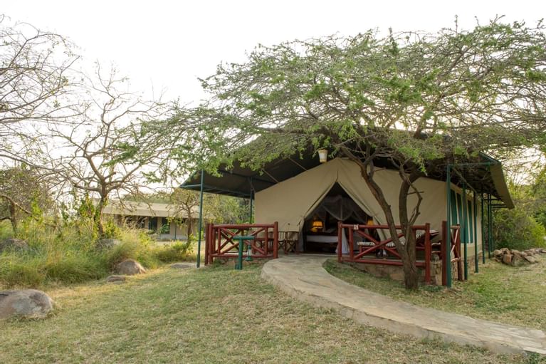 Mawe Tented Camp, Serengeti – Updated 2023 Prices