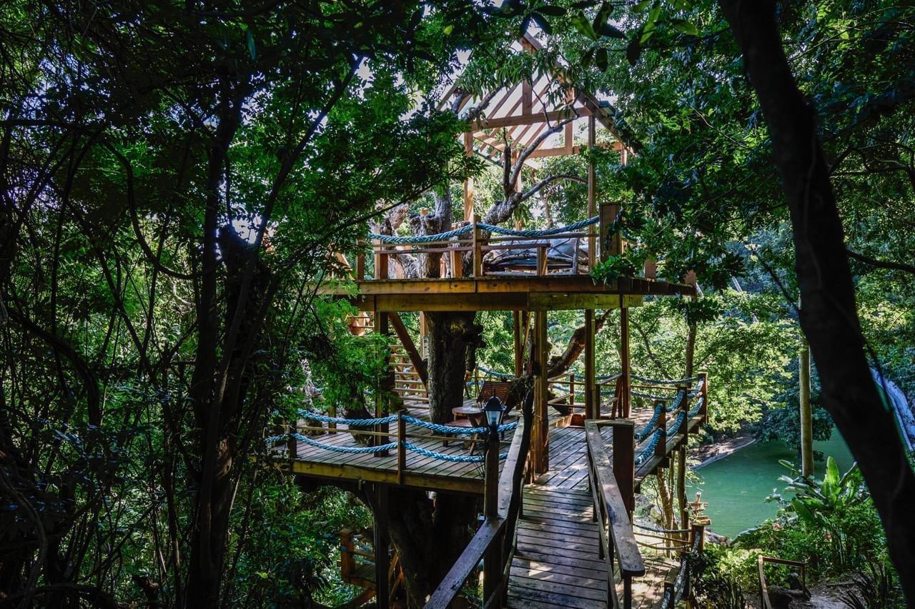 Wooden Tree House built on a Mango tree at Ladera St. Lucia