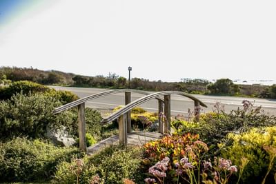 Wooden arch bridge over road with lush vegetation and clear sky in the background.