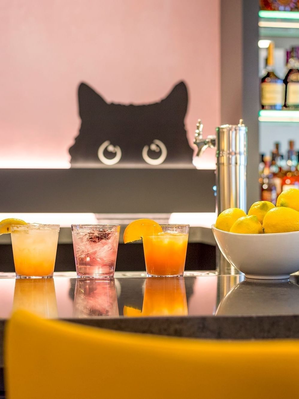 Colorful cocktails in glasses by bowls of citrus fruits on a dark bar counter at Warwick Denver