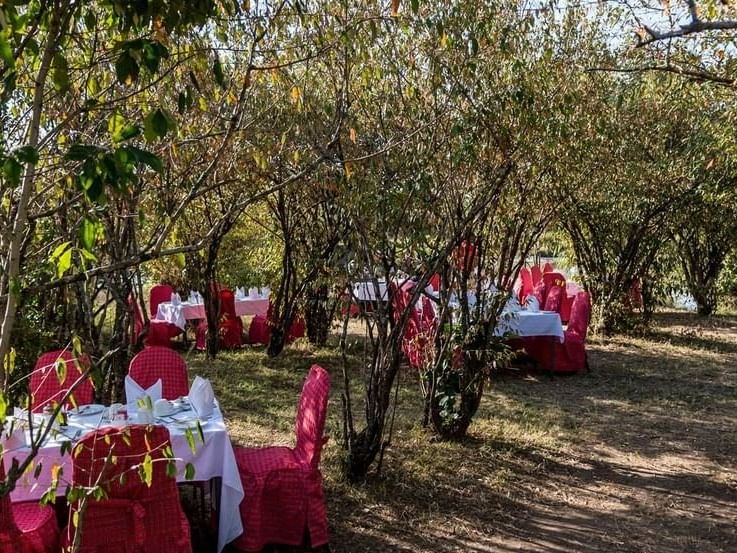 An outdoor wedding table setup at Mara Serena Safari Lodge