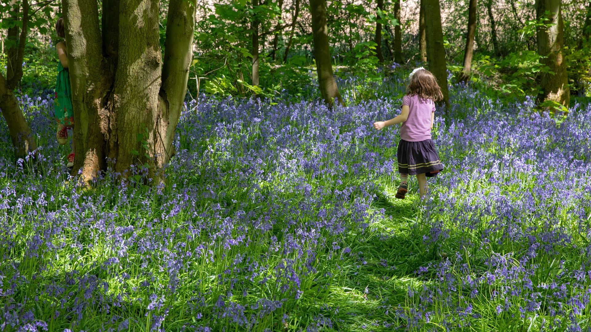 A girl playing in Fletcher-moss near Village Hotels Manchester