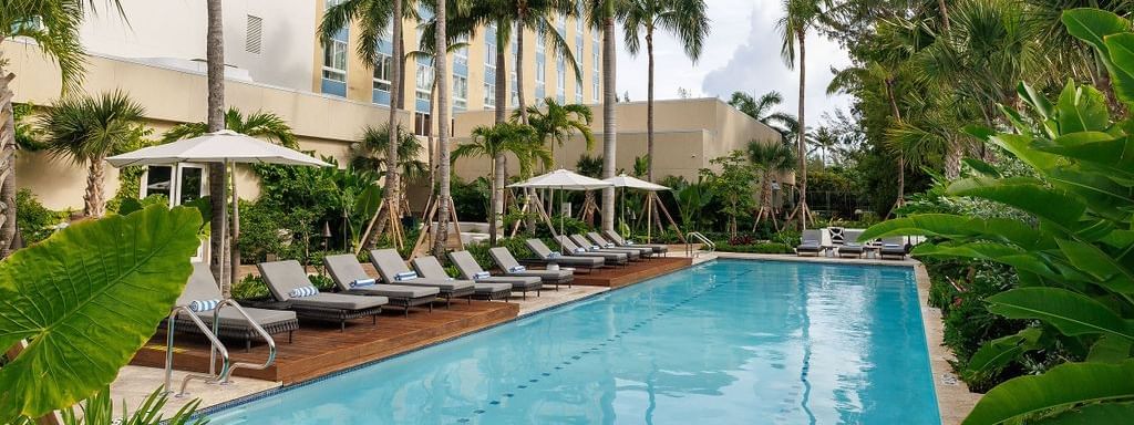 Long lap pool by rows of lounge chairs under tall palms and a modern building at Warwick Paradise Island Bahamas