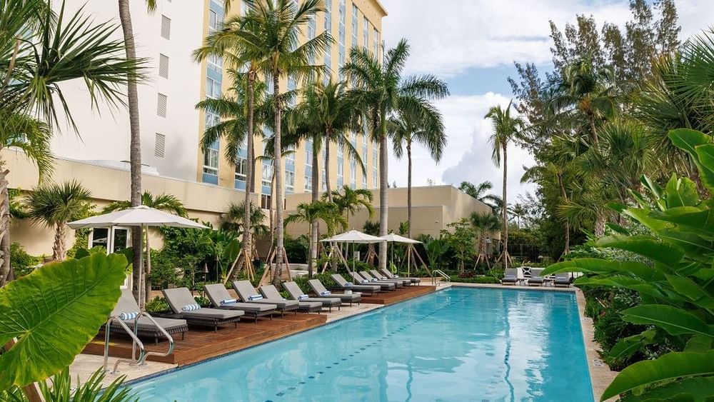 Long lap pool by rows of lounge chairs under tall palms and a modern building at Warwick Paradise Island Bahamas